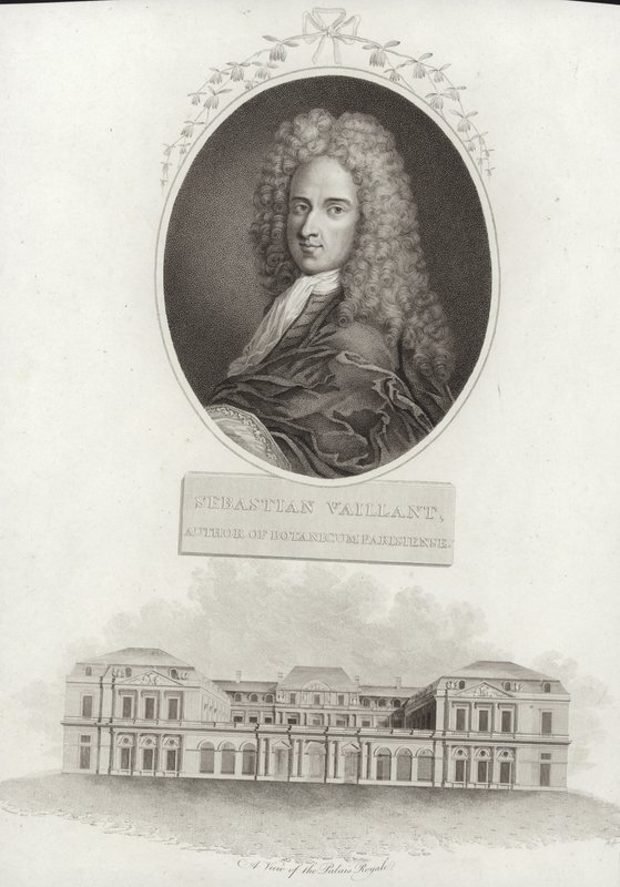 Sebastien Vaillant tekijältä French School
