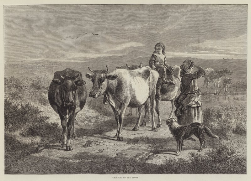Aamu maurilla tekijältä George Bouverie Goddard