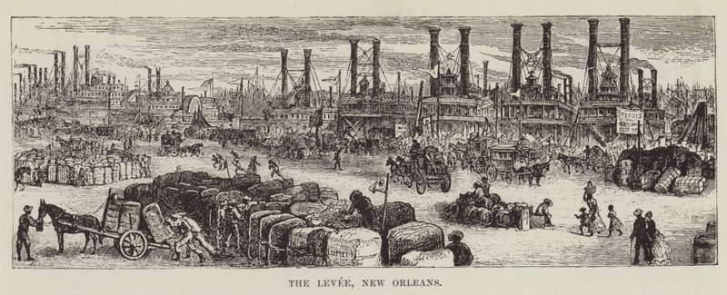 The Levee, New Orleans tekijältä George Augustus Sala