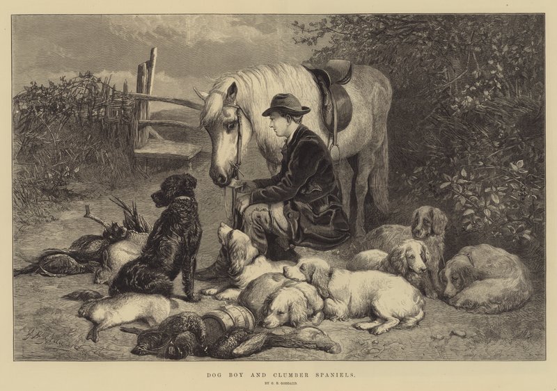Dog Boy ja Clumber Spanielit tekijältä George Bouverie Goddard