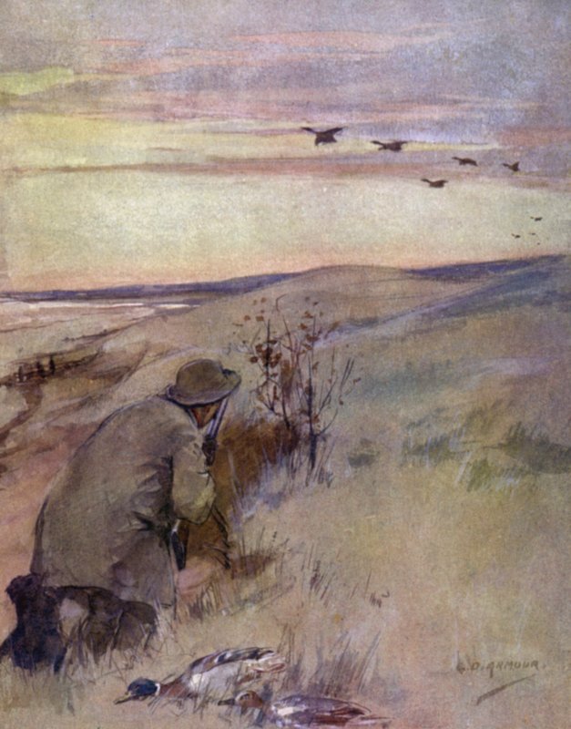 Villi lintu: lentäminen (väri litho) tekijältä George Denholm Armour