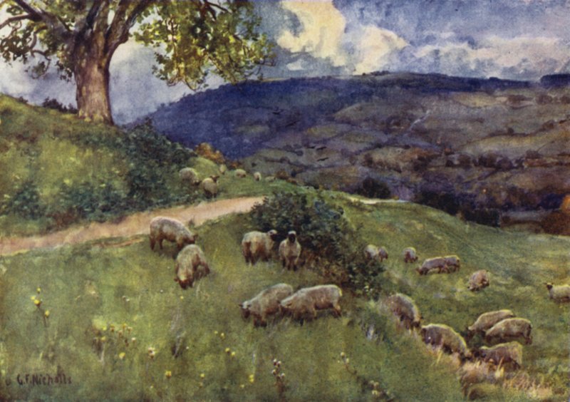 Cotswoldin lammaslaitumella tekijältä George Franck Nicholls