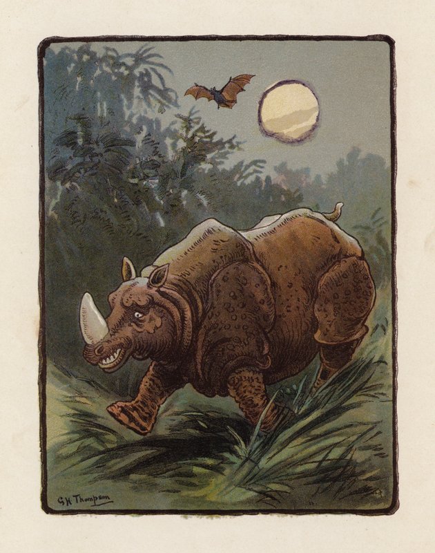 Sarvikuono (värilitra) tekijältä George Henry Thompson