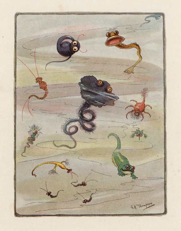Mikrobi (värillinen litografia) tekijältä George Henry Thompson