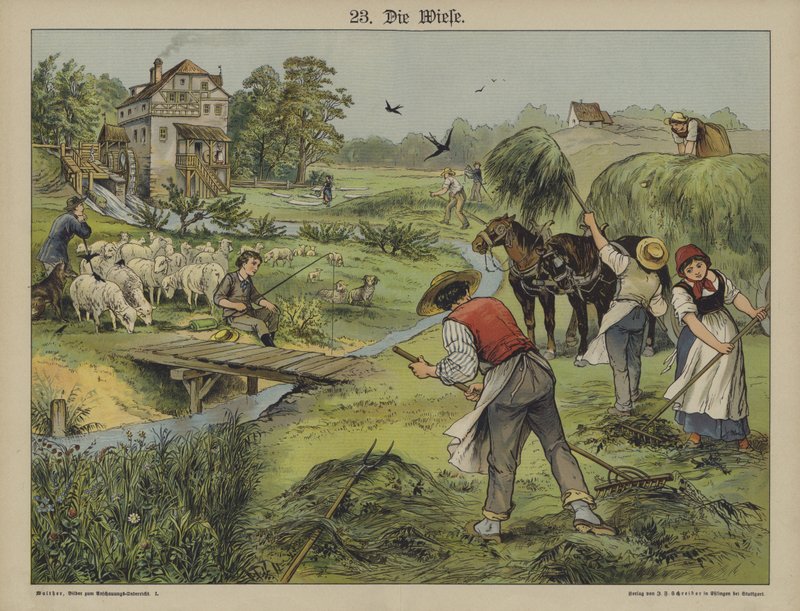 Ruoho (väri litho) tekijältä German School