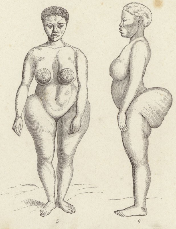 Hottentot Venus (kaiverrus) tekijältä German School