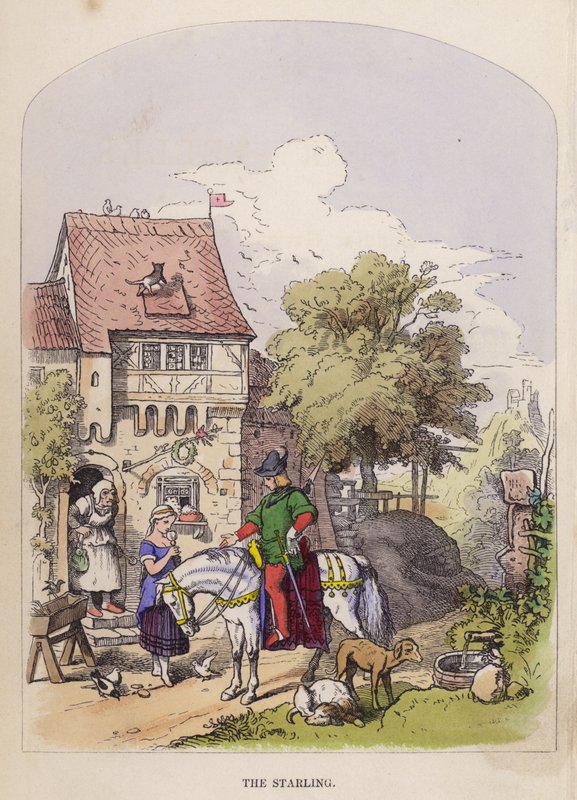 Starling (väri litho) tekijältä German School