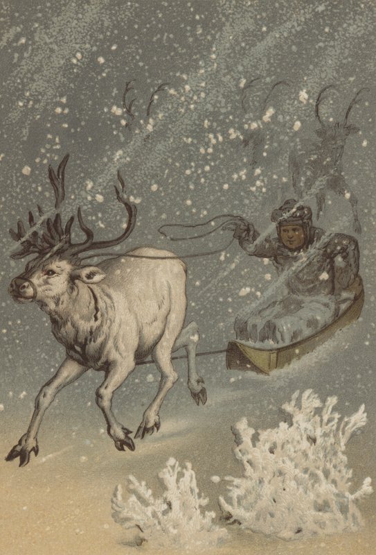 Poro (chromolitho) tekijältä German School
