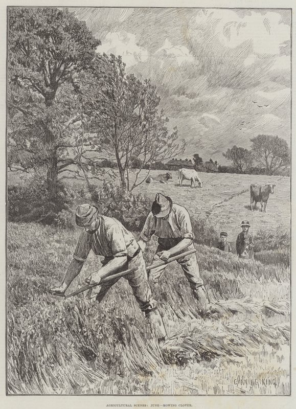 Agricultural Scenes, kesäkuu, apilan niitto tekijältä Gunning King