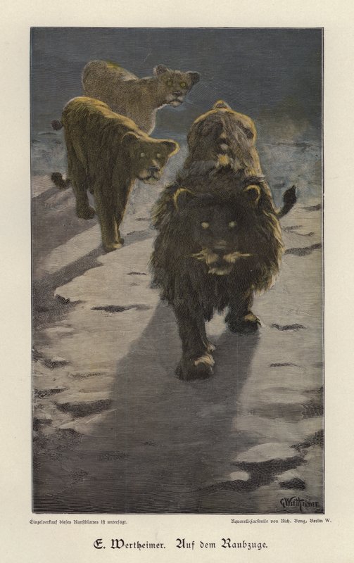 On the Raid (värillinen kaiverrus) tekijältä Gustav Wertheimer