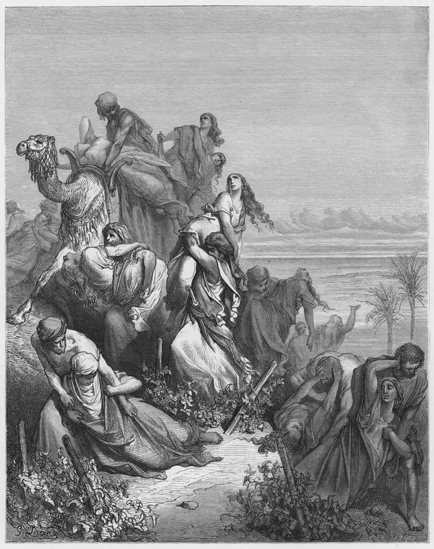 Gustave Dore Raamattu: Benjaminin lapset kantamassa pois Jabesh-Gileadin neitsyitä tekijältä Gustave Dore