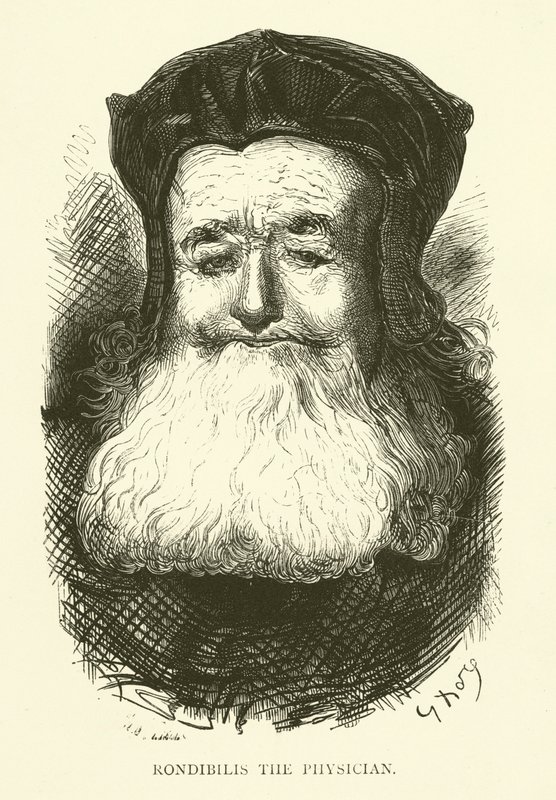 Rabelais