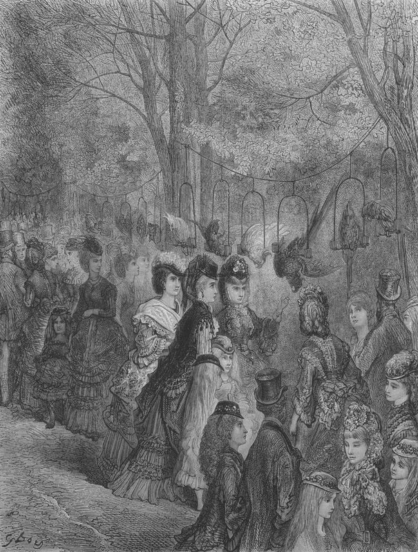 Eläintarha, Linnut tekijältä Gustave after Dore