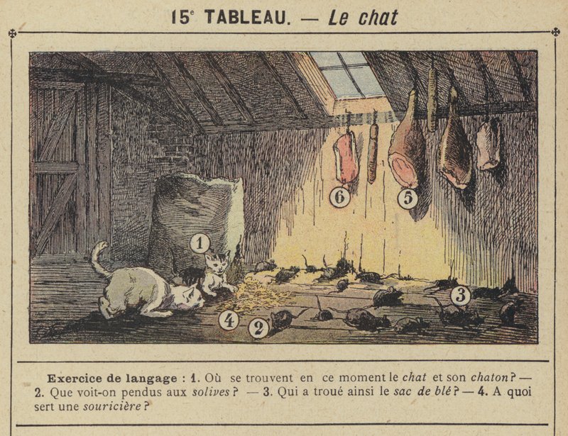 Le chat (väri litho) tekijältä Gustave Fraipont