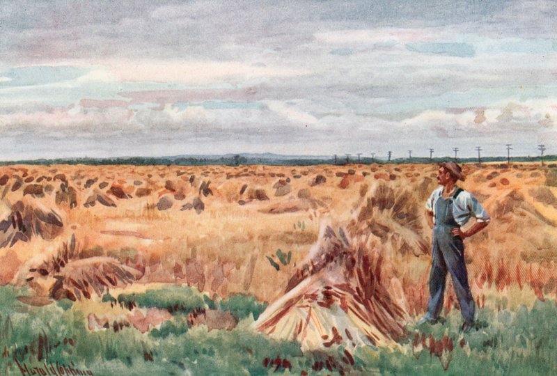 Manitoban vehnäpelloilla tekijältä Harold Copping