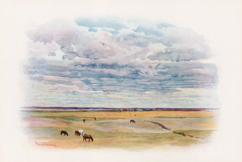 Preeria Elstowissa, Saskatchewanissa tekijältä Harold Copping