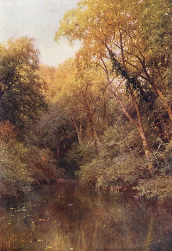 The Silent Pool, Albury (värilitro) tekijältä Harold Sutton Palmer