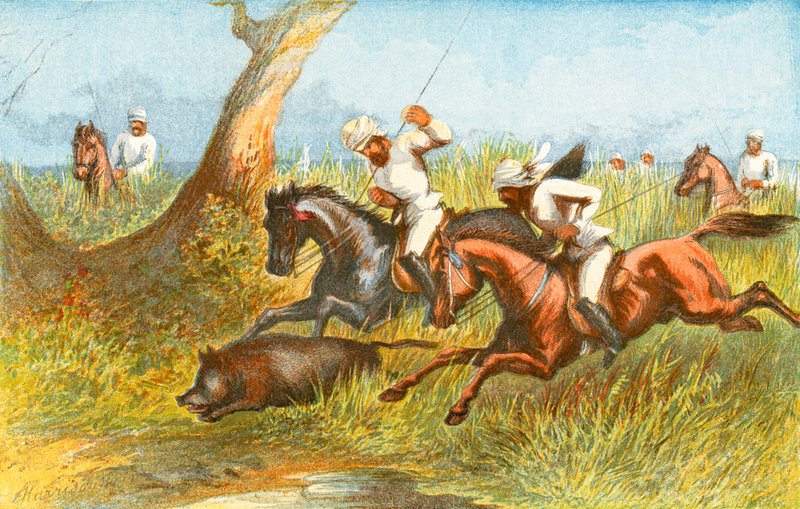 Villisika - "vihdoin valloitettu" tekijältä Harrison William Weir