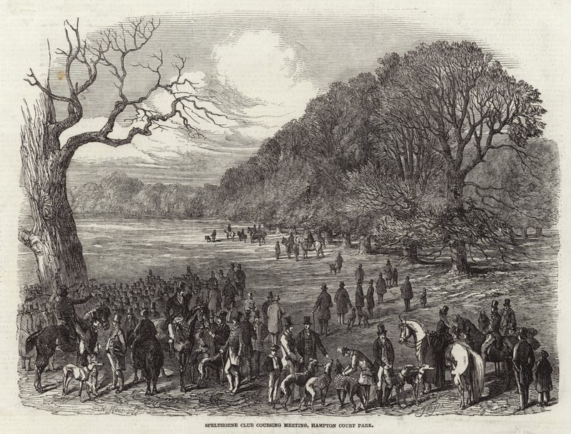 Spelthorne Clubin maastokokous tekijältä Harrison William Weir