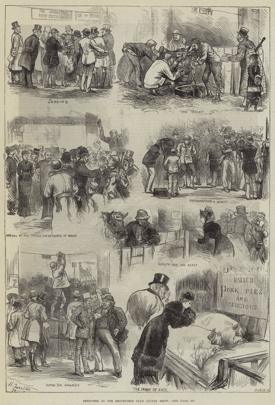 Luonnokset Smithfield Clubin karjanäyttelyssä tekijältä Harry Furniss