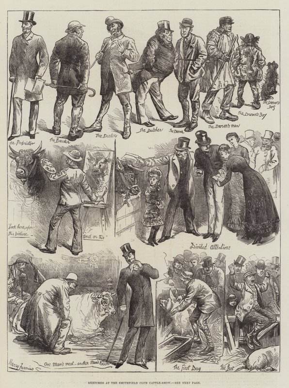 Luonnokset Smithfield Clubin karjanäyttelyssä tekijältä Harry Furniss