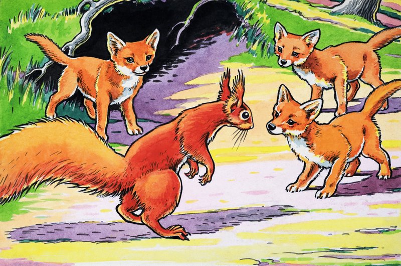 Pikku punainen orava tekijältä Harry M. Pettit