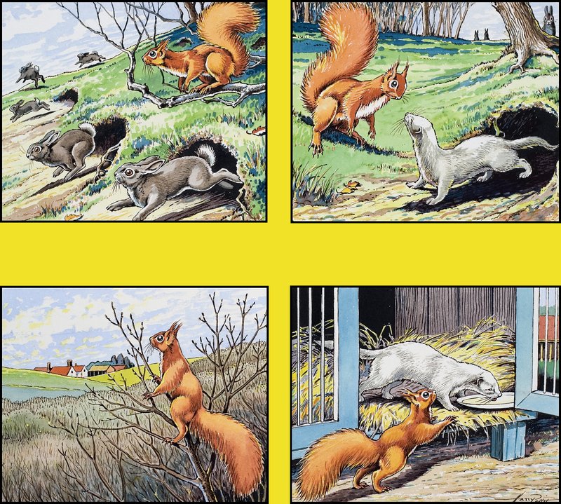 Pikku punainen orava tekijältä Harry M. Pettit