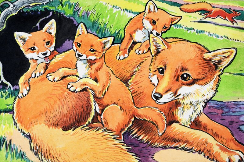 Pikku punainen orava tekijältä Harry M. Pettit