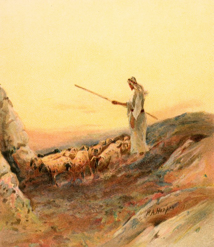 Paimen laskee lampaitaan tekijältä Henry Andrew Harper