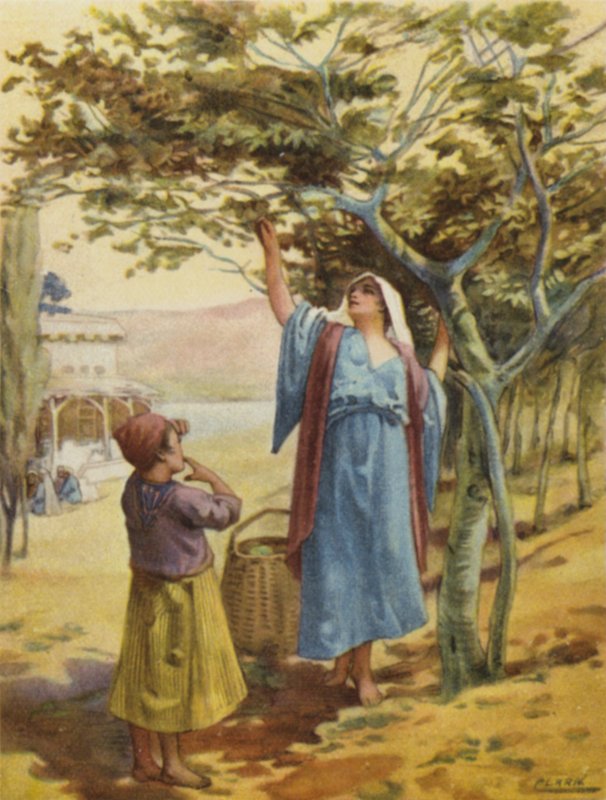 Viikunoiden kerääminen (väri litho) tekijältä Henry Andrew Harper