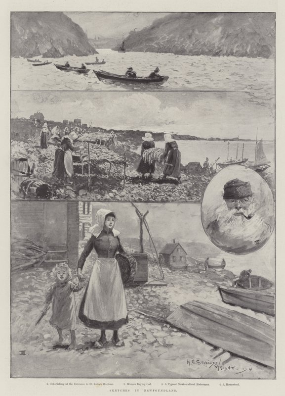 Luonnokset Newfoundlandissa tekijältä Henry Charles Seppings Wright
