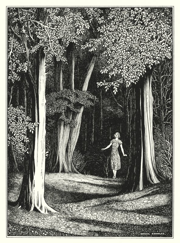 Heinäkuu (litografia) tekijältä Horace J. Knowles