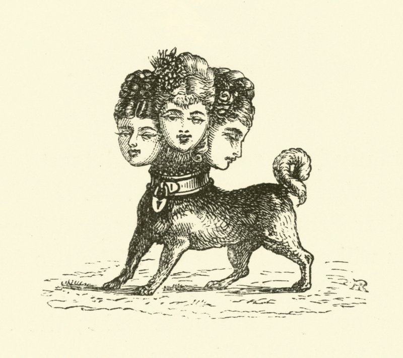 Naaras Cerberus (kaiverrus) tekijältä Hugh Rowley
