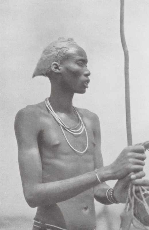 Dinka-Neger (s/w-kuva) tekijältä Hugo Adolf Bernatzik