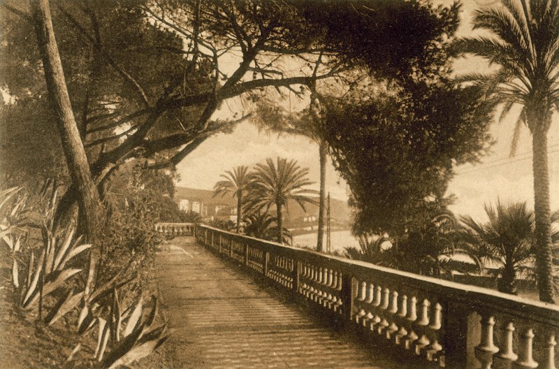 San Remo, Giardini (valkoinen kuva) tekijältä Italian Photographer