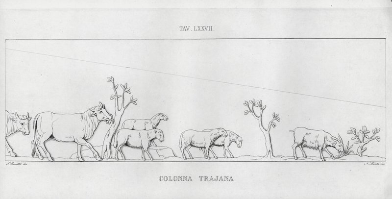 La Colonna Trajana, Trajanuksen pylväs (kaiverrus) tekijältä Italian School