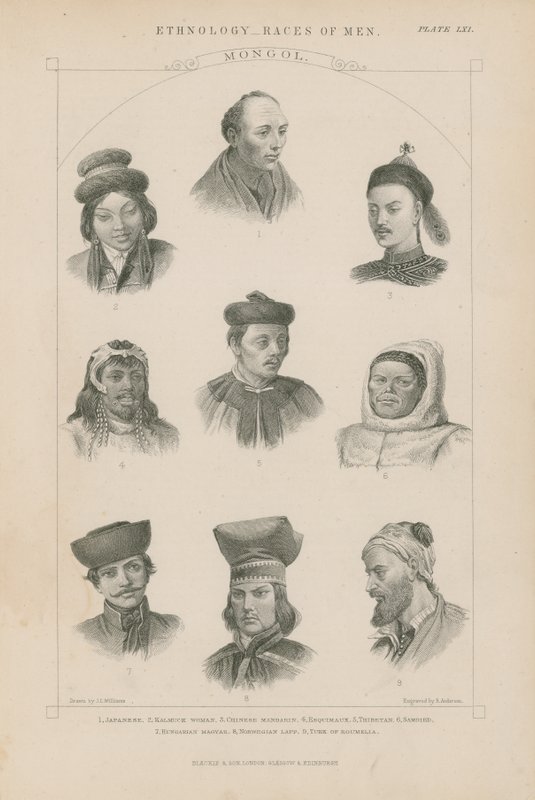 Yhdeksän kasvoa eri mongolirotuista tekijältä J.L. Williams