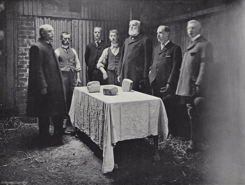 Carlowsin hyväntekeväisyyden jakaminen tekijältä J. Benjamin Stone