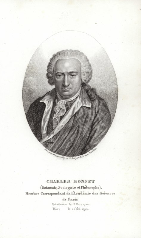 Charles Bonnet tekijältä Jens Juel