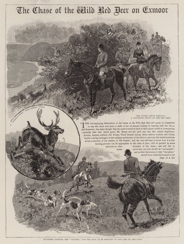 Wild Red Deer Chase of the Exmoor tekijältä John Charlton