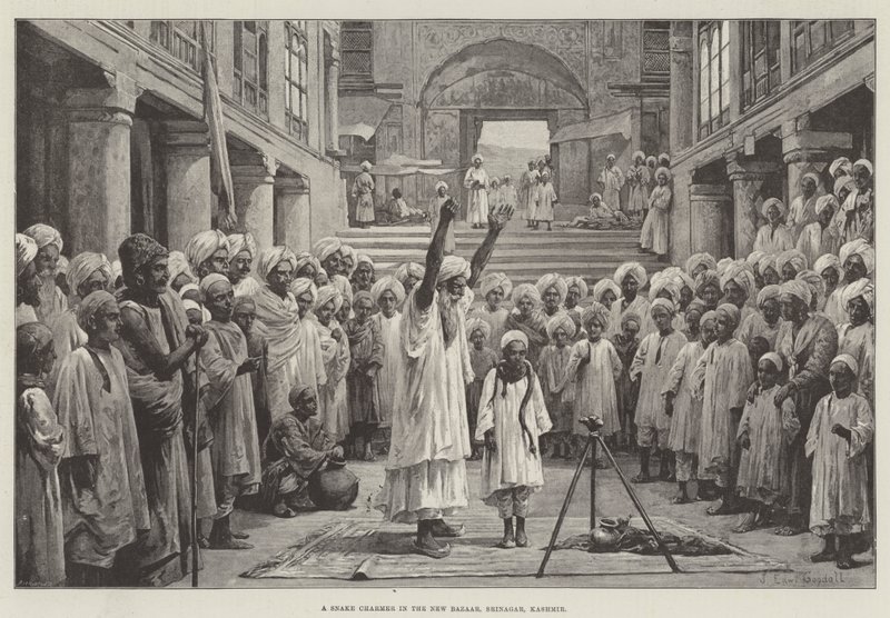 Snake Charmer in the New Bazaar, Srinagar, Kashmir tekijältä John Edward Goodall