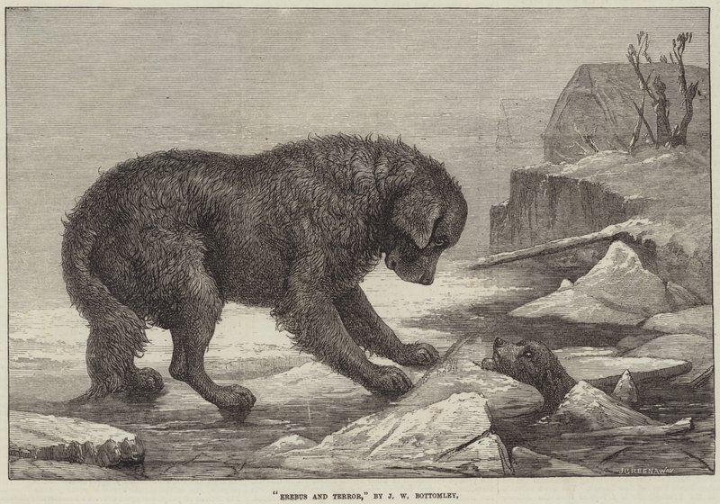 Erebus ja terrori tekijältä John William Bottomley