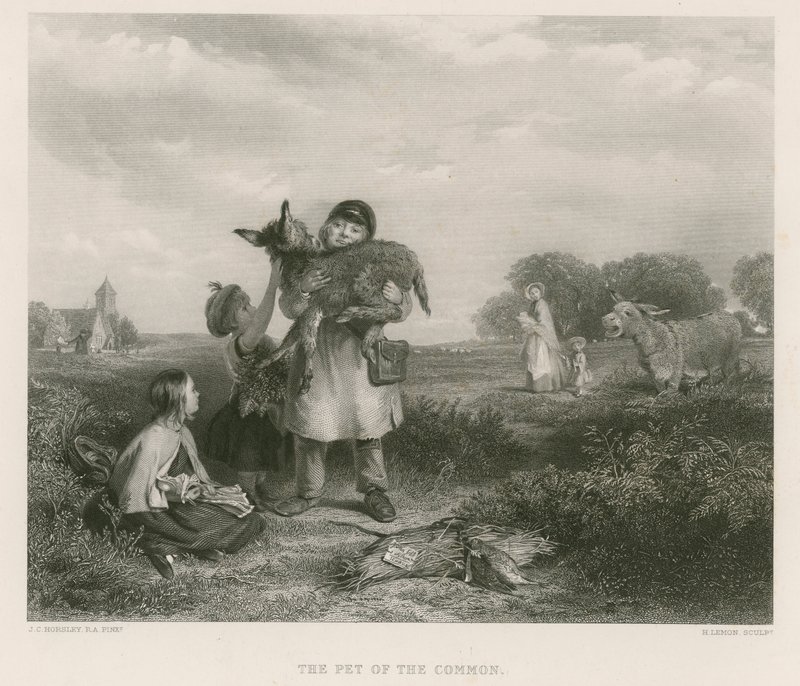 Yleisön lemmikki tekijältä John Callcott Horsley