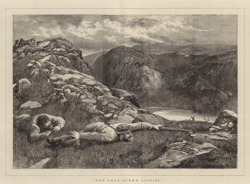 Auld Hindin näköinen tekijältä John Evan Hodgson