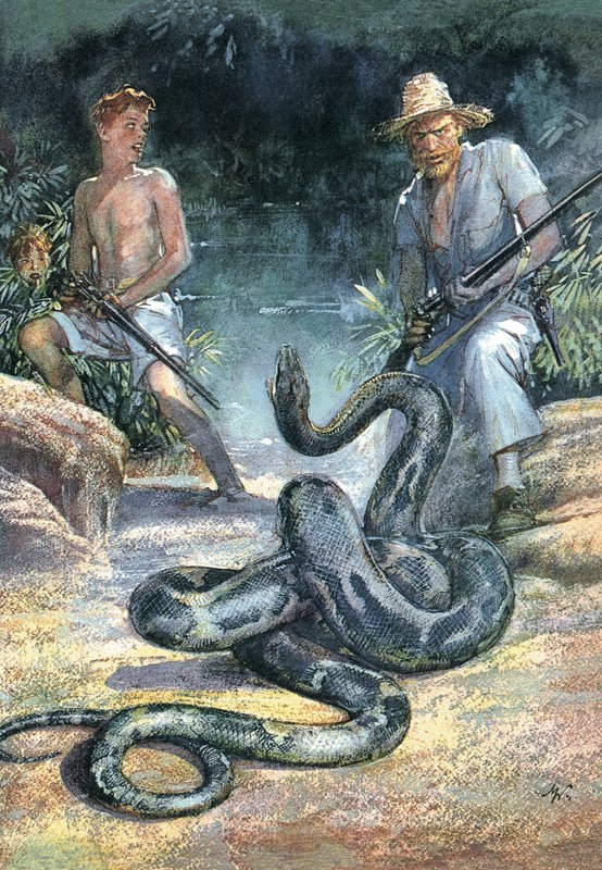 Sveitsiläinen perhe Robinson tekijältä John Millar Watt