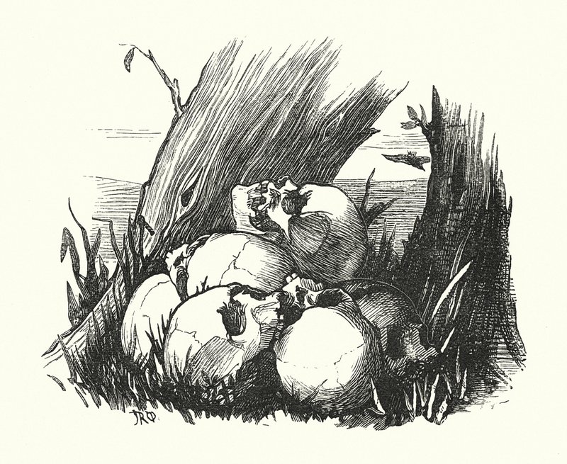 Vignetti, Rooman viholliset (kaiverrus) tekijältä John Reinhard Weguelin