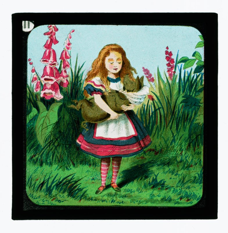 Liisa ihmemaassa, värilliset lyhtydiat tekijältä John Tenniel