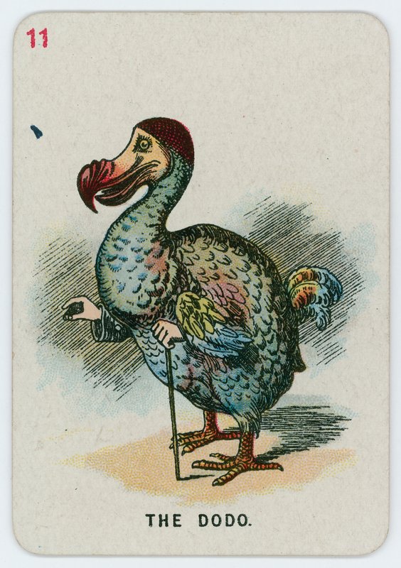Dodo tekijältä John Tenniel