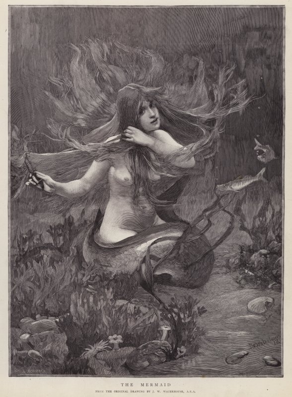 Merenneito (litho) tekijältä John William (after) Waterhouse