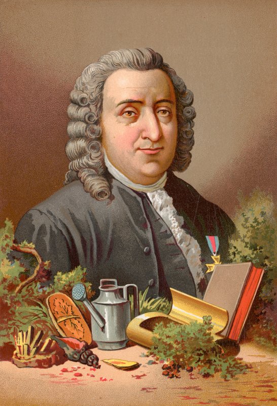 Carl Linnaeus tekijältä Jose Armet Portanell